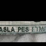 Asla