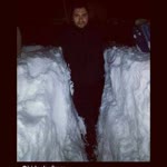 Selim