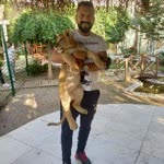 Levent