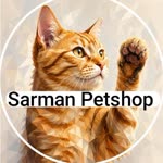 Sarman
