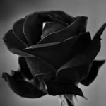 Hatice