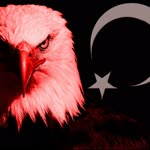 Engin