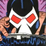 Insecto