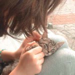 Meryem