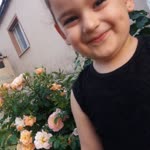 Sıbel