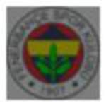 Bulut