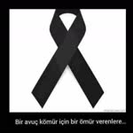 Kadir