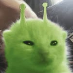 Kübra
