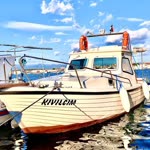 Serkanın