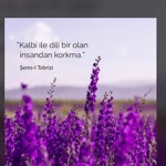 İzzet