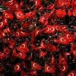 Ayşegül