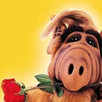 Alf