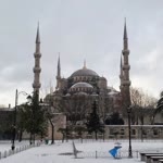 Tarık