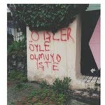 Elem