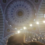 Nilüfer