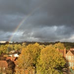Merve