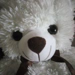 Nihal