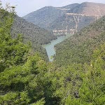 Nurettin