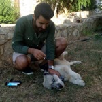 Vedat