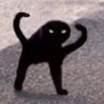 Kreb