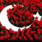 Serhat