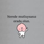 Açelya