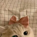 Fadıla