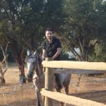 Umut