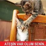 Ekrm