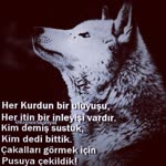 Tolunay