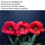 Pembegül