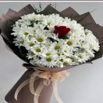 Mustafa