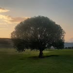 Neslihan