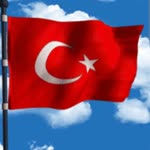 Seyfi