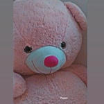 Yagmur