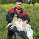 Bilal