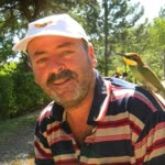 Barış