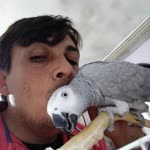Yıldıray