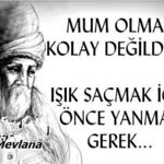 Oya