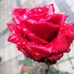 Gizem