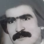 Ali