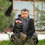 Satılmış