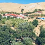 Sultan