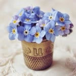 Nur