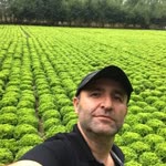 Çağatay