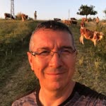 Alparslan