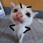 Betül