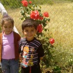 Yilmaz