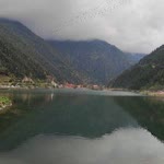 Duygu