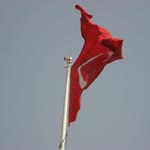 Doğan